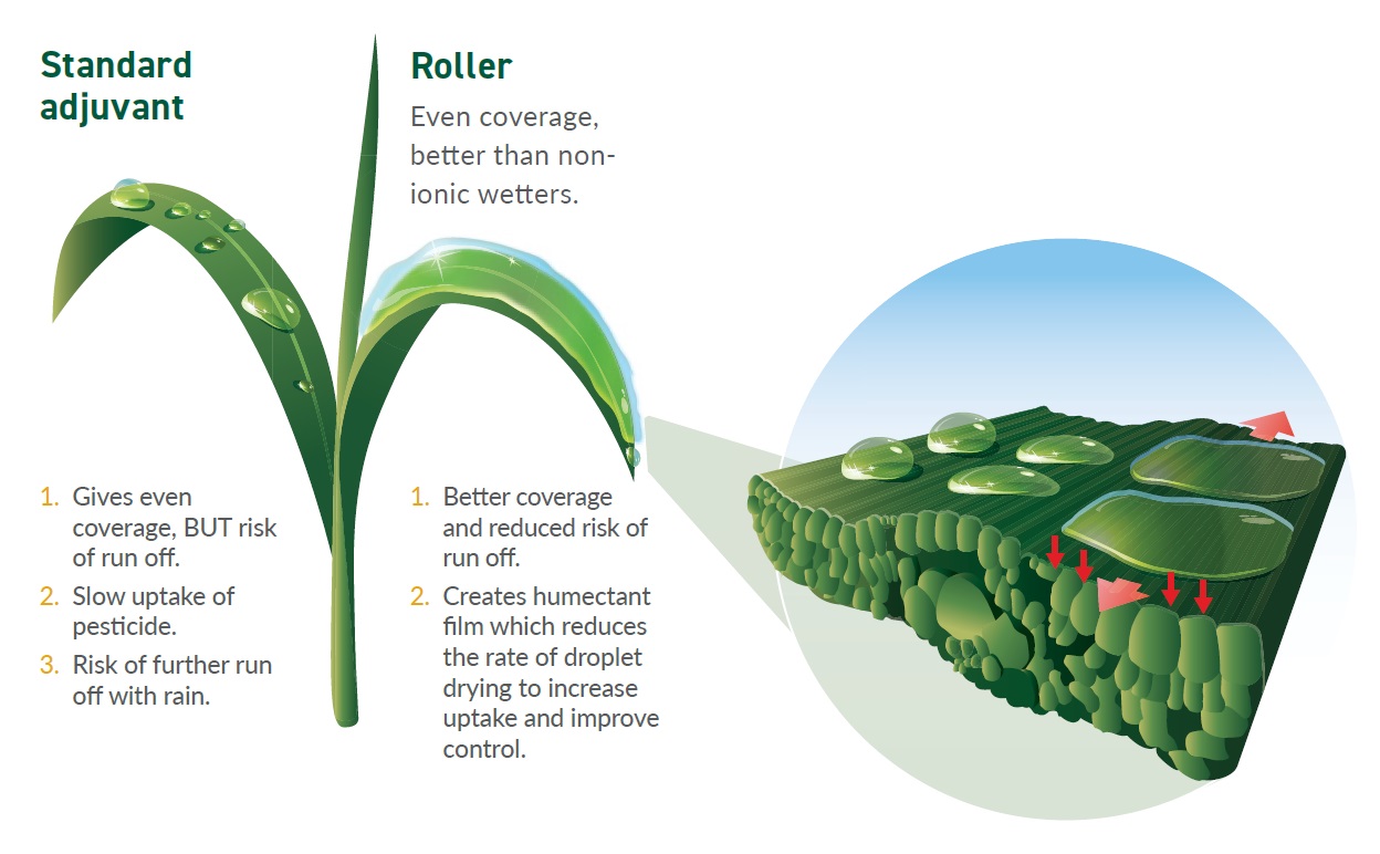 Roller diagram
