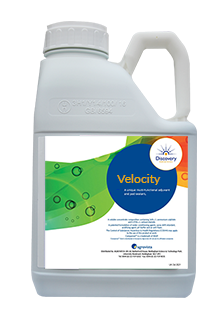 Velocity
